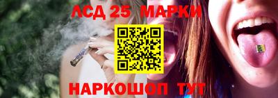 apvp Гатчина