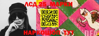 apvp Гатчина