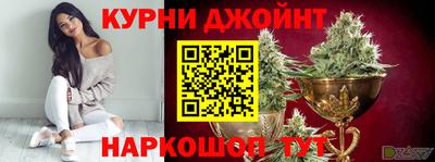 apvp Гатчина
