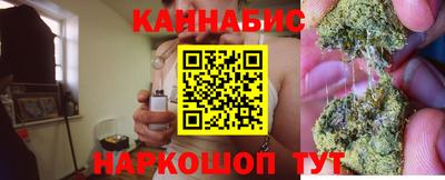 мдпв Гай