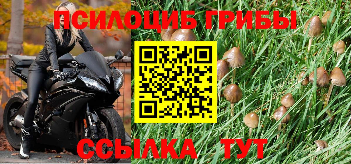 что такое   Саки  Галлюциногенные грибы прущие грибы  Псилоцибиновые грибы мицелий 