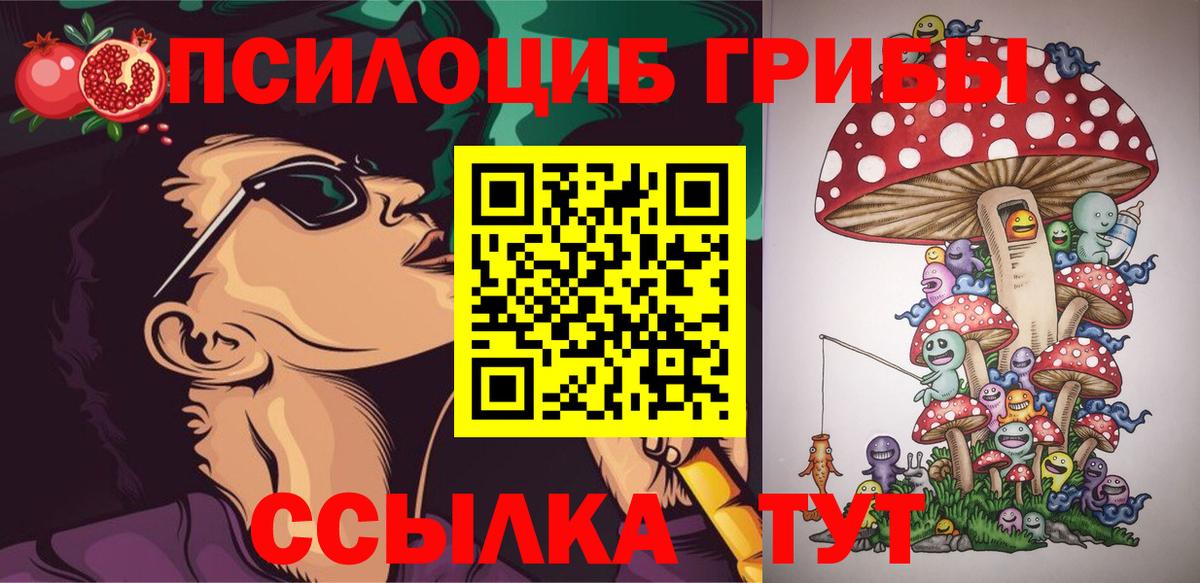 Псилоцибиновые грибы Psilocybe Саки